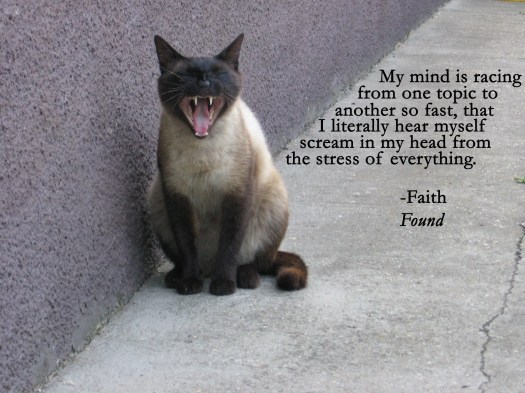 screaming-cat-1404453